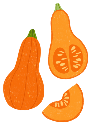Pumpkin, half of a pumpkin and pumpkin piece PNG, SVG