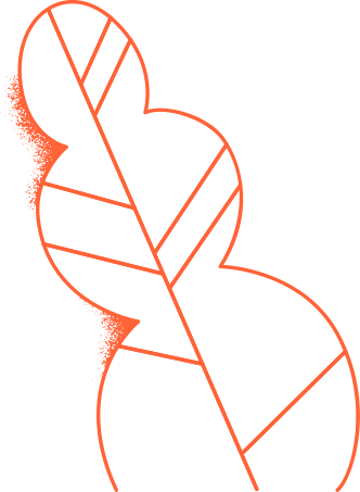 red outlined leaf Illustration in PNG, SVG