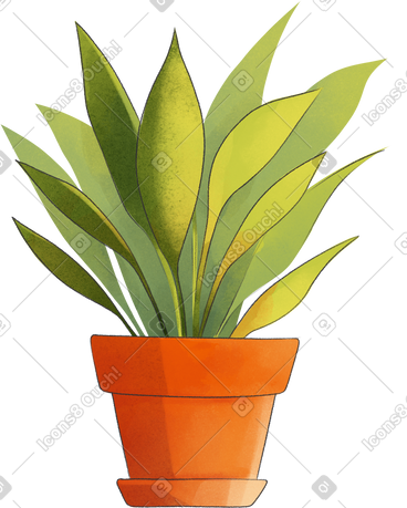 盆中的家庭植物 PNG, SVG