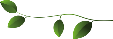 small green twig PNG, SVG