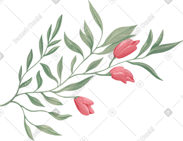 Delicate green branch with three rose buds PNG, SVG