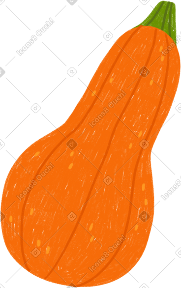 Pumpkin PNG, SVG