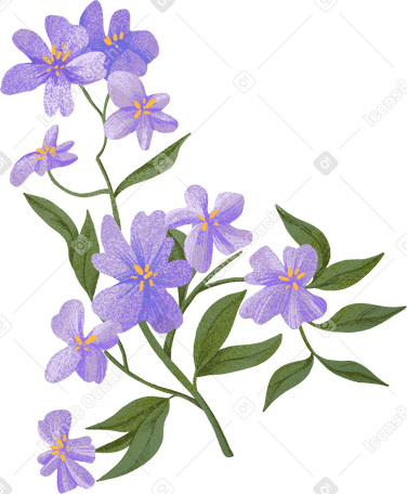 small purple flowers on a branch PNG, SVG