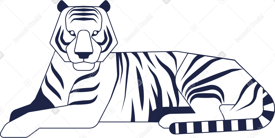 tiger Illustration in PNG, SVG
