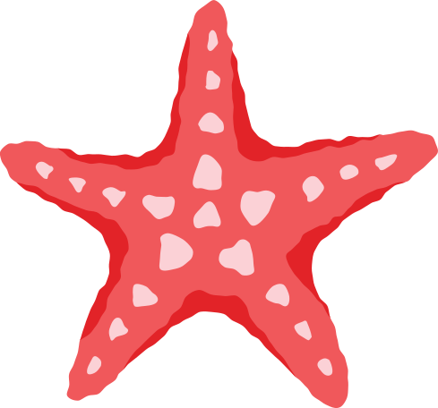 Red sea star fish Illustration in PNG, SVG