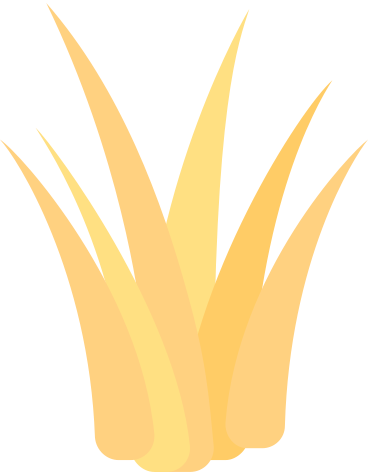 Grass PNG, SVG