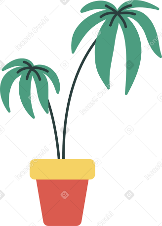 пальма в горшке в PNG, SVG