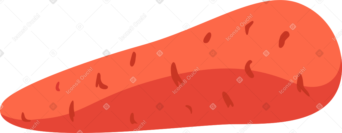 морковь в PNG, SVG