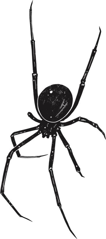 Spider PNG、SVG