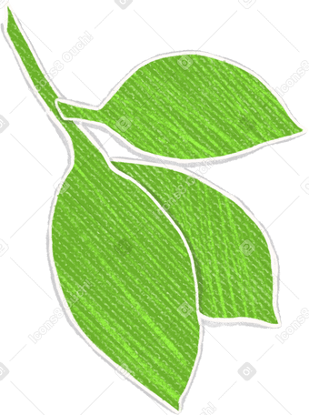 twig with three green leaves Illustration in PNG, SVG