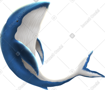 Whale PNG, SVG