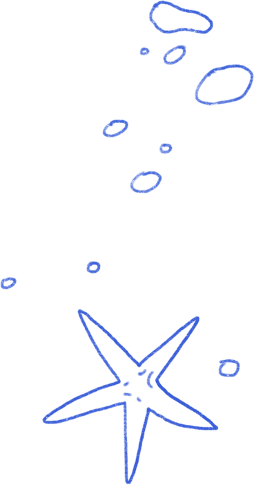 Blue contour pebbles and a starfish PNG、SVG