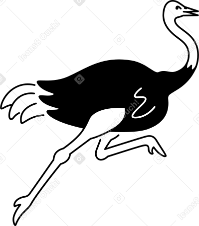 ostrich Illustration in PNG, SVG