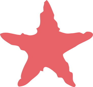 red star shape PNG, SVG
