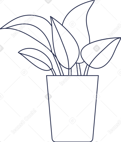 Piccola pianta tropicale foglie lineart PNG, SVG