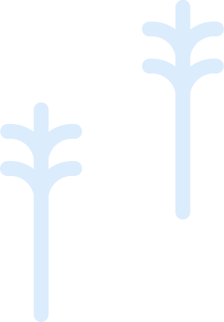 two trees Illustration in PNG, SVG