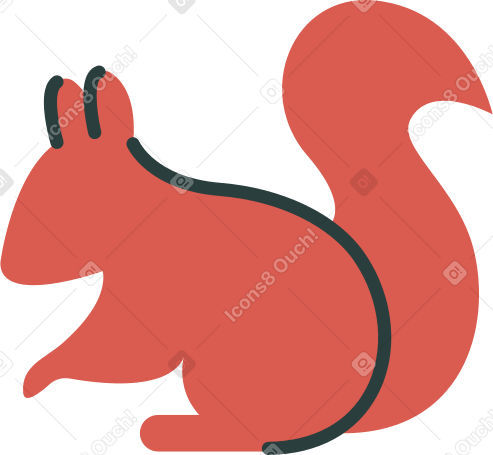 squirrel Illustration in PNG, SVG