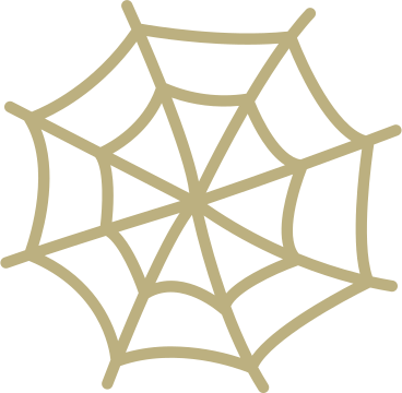 Spinnennetz PNG, SVG
