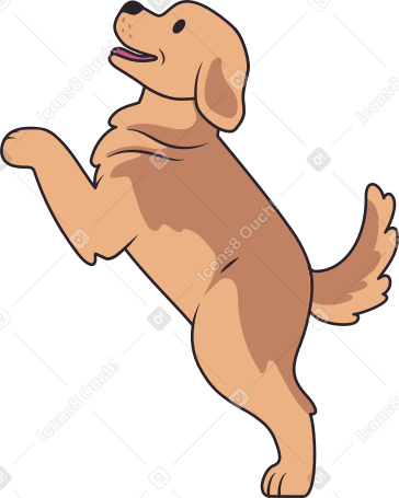 golden retriever puppy Illustration in PNG, SVG