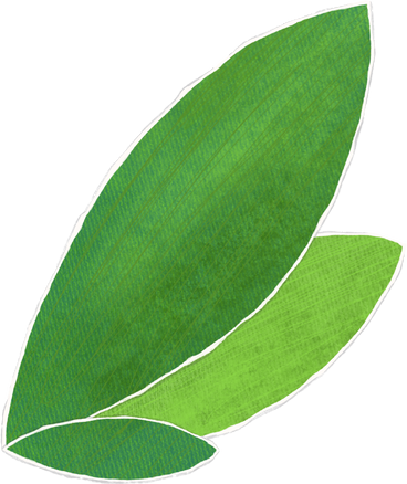 two dark and one green leaf PNG, SVG
