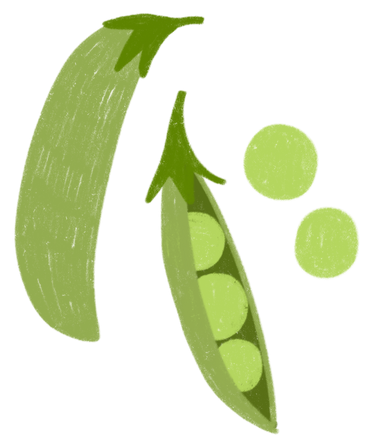 Peas and opened green pea pod PNG, SVG