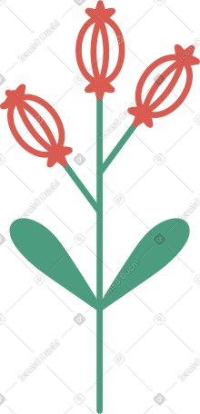 花 PNG, SVG