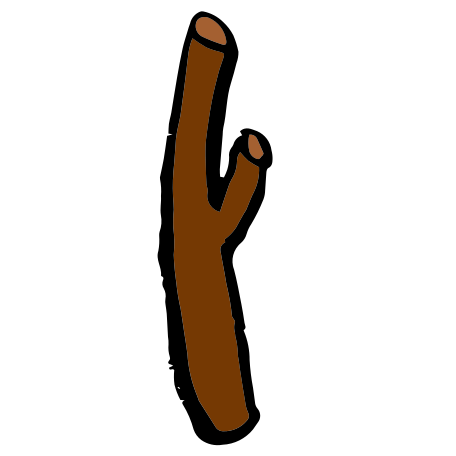 branch Illustration in PNG, SVG