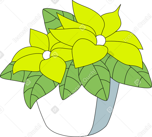 poinsettia PNG, SVG