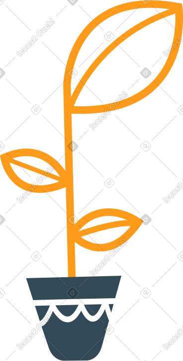 锅中的王国花 PNG, SVG