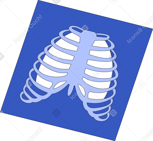 胸部和肺部的三维模型 PNG, SVG