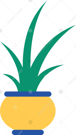 potted plant Illustration in PNG, SVG