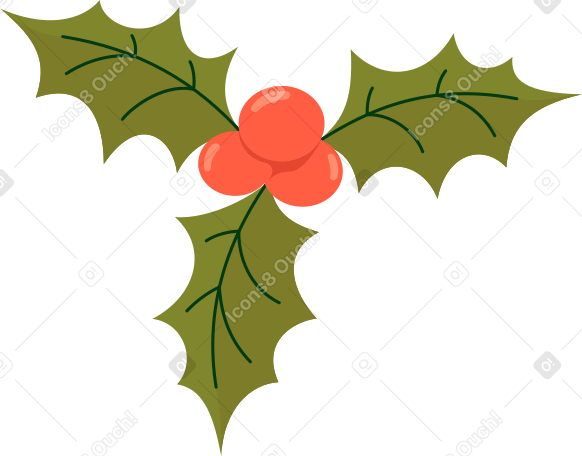 red holly Illustration in PNG, SVG
