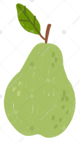 pear в PNG, SVG