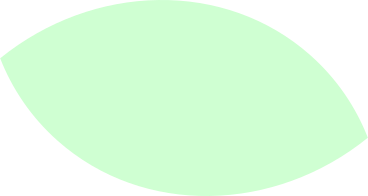 녹색 모양 PNG, SVG