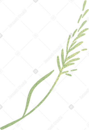 one small blade of grass PNG、SVG