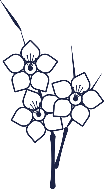 꽃다발 PNG, SVG