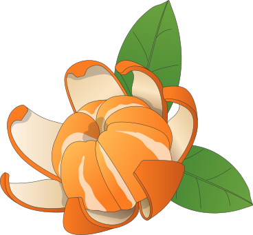 peeled tangerine PNG, SVG