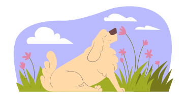 The dog enjoys nature and flowers PNG, SVG