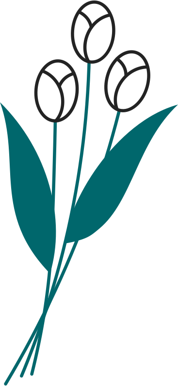 Drei tulpen PNG, SVG