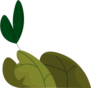 plants PNG, SVG
