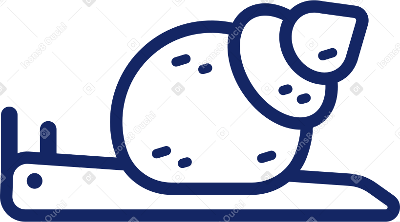 snail Illustration in PNG, SVG