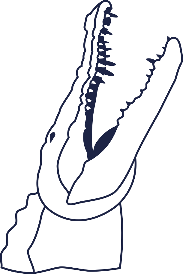 Ilustração de crocodail 1 linha em PNG e SVG