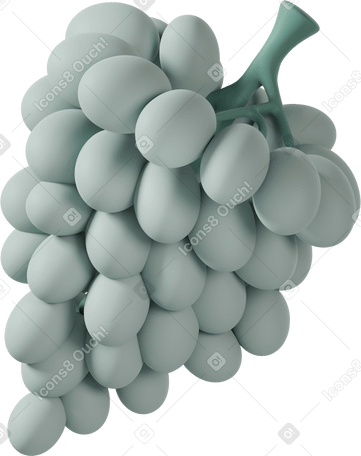 3D green grape  Illustration in PNG, SVG