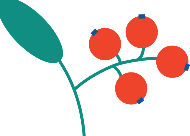 branch berry Illustration in PNG, SVG