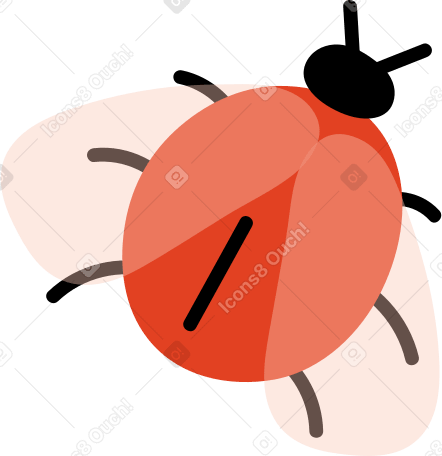 red ladybug Illustration in PNG, SVG