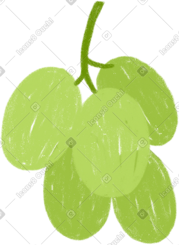 Grape PNG, SVG