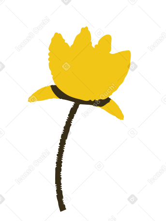 lotus PNG, SVG