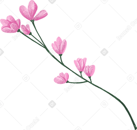 twig with small pink flowers PNG, SVG