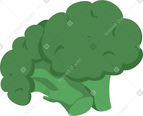 brocoli PNG, SVG