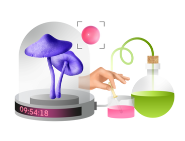 Science flask and mushrooms for laboratory experiment PNG, SVG